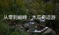 从零到巅峰：木瓜奇迹游戏里法师的成长之路