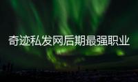 奇迹私发网后期最强职业搭配组合分享