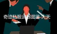 奇迹私服武器图鉴 大天祝天系列全收录一览