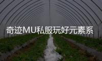 奇迹MU私服玩好元素系统才能走上PK王者之路