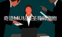 奇迹MU私服圣导师宠物搭配推荐增强辅助能力