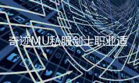 奇迹MU私服剑士职业适合新手玩家吗