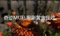 奇迹MU私服刷黄金怪效率提升技巧